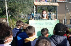 Cervo, lancio concorso per dare un nome alla mascotte