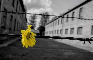 Giorno della Memoria, celebrazioni domani a Varazze