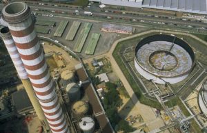 Il WWF scrive al ministro dello sviluppo economico