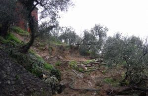 La Spezia, chiusura di strade per il maltempo