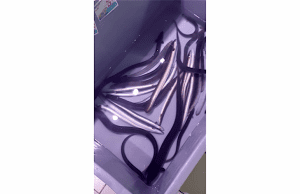 Attivisti liberano capitoni in mare ad Albenga | Video