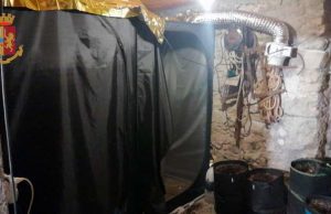 La Polizia trova piantagione di marjiuana a Pitelli, nei guai due giovani