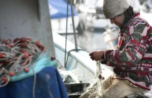 Bruxelles, necessario evitare complicazioni burocratiche