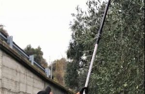 Imperia, parte il progetto di cooperazione SEOL