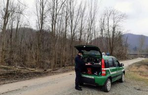 A Pallare i Carabinieri Forestali trovano aree occupate abusivamente