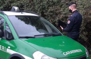 Nipaaf e Forestali stroncano commercio abusivo di cani nel savonese Nipaaf e Forestali stroncano commercio abusivo di cani nel savonese