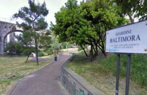 Completamente rinnovati I Giardini di plastica