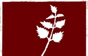 Teatro dell’Ortica Genova, in scena per parlare di ludopatia