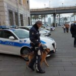 Sicurezza, botta e risposta tra Gambino e Traverso