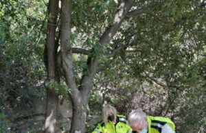 Alassio, pulizia di Rio Barbona e di Via Julia Augusta