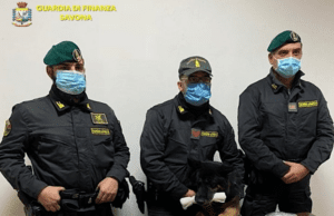 GdF Savona | Sei arresti per spaccio: il capo era egiziano