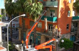 Recco, sostituzione delle palme tagliate in via IV novembre