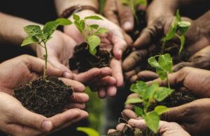 Bando agricoltura sociale Bando agricoltura sociale