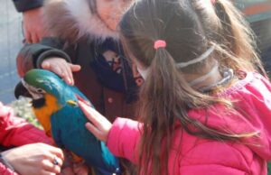 I bimbi della Primaria di Cervo incontrano una falconiera