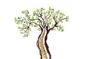 Diano Marina Dinamica, la palestra compie 25 anni Diano Marina Dinamica