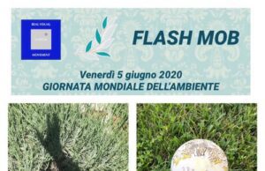 Oggi si celebra la Giornata Mondiale dell’ Ambiente