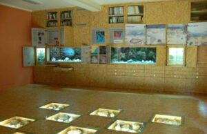 Eventi al Museo paleontologico di Ceriale Eventi al Museo paleontologico di Ceriale