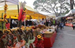 Fiera di Rapallo, Anva e Fiva contro le scelte della Giunta