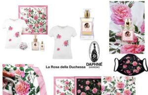 La Maison Daphné di Sanremo e la rosa della Duchessa