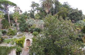 Chiavari, mercoledì in Villa Rocca la “Lunaria” Chiavari, mercoledì al Giardino di Villa Rocca la Lunaria