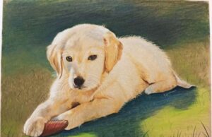 Mostra di Caterina Galleano a Varazze Mostra di Caterina Galleano a Varazze