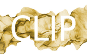 Finalisti del concorso 7° Clip Finalisti del concorso 7° Clip