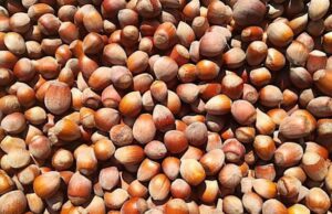 Nocciole Misto Chiavari, la valorizzazione della Camera di Commercio