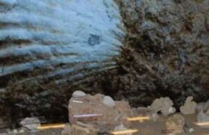 Summer Lab, Museo Lai Ceriale Summer Lab, Museo Lai Ceriale