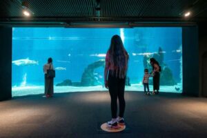 All’Acquario di Genova nuovo orario