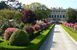 Concerto violino e pianoforte ad Albissola Concerto violino e pianoforte ad Albissola Marina