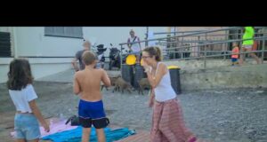 Cinghiali in spiaggia a Sturla tra i bagnanti
