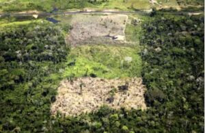 WWF, Piccoli passi sul clima, attenzione alla biodiversità