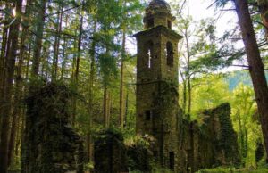 A Borzonasca evento tra degustazioni e letteratura A Borzonasca evento tra degustazioni e letteratura