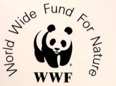 WWF, 39 Milioni di nuovi posti di lavoro WWF, 39 Milioni di nuovi posti di lavoro