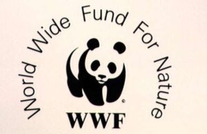 WWF, 39 Milioni di nuovi posti di lavoro WWF, 39 Milioni di nuovi posti di lavoro