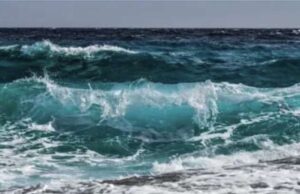 A rischio le culture per l’innalzamento del mare A rischio le culture per l'innalzamento del mare