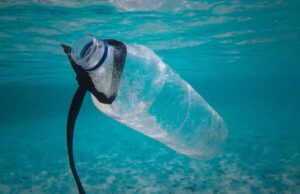 A Deiva Marina l’evento Amico a Mare A Deiva Marina l'evento Amico a Mare