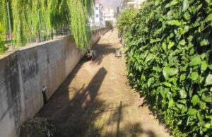 A Ceriale pulizia di tutti i corsi d’acqua A Ceriale pulizia di tutti i corsi d'acqua