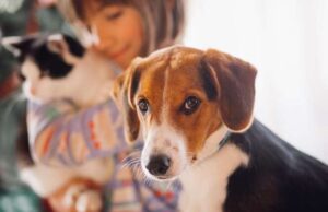 Animali in condominio, nuove regole Animali in condominio, nuove regole