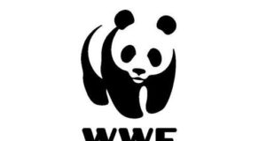 Greenpeace, Legambiente e WWF Italia