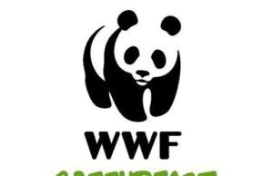 Greenpeace, Legambiente e WWF Italia Greenpeace, Legambiente e WWF Italia