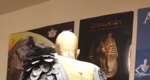 Museo di Storia Naturale, racconti e curiosità su Mythos