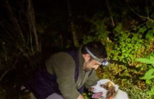 29° Festa Nazionale del tartufo 29° Festa Nazionale del tartufo