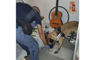 Spacciatori a domicilio: arrestati albanese e genovese Spacciatori a domicilio: arrestati albanese e genovese