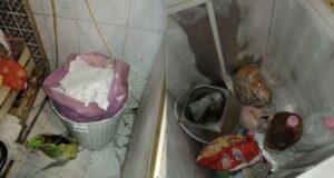 Scarsa pulizia e mancato rispetto delle norme. Chiusi e sanzionati due artigiani alimentari