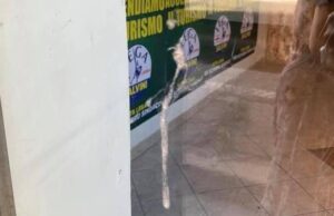 Savona, escrementi e sputi su point elettorale della Lega a Zinola