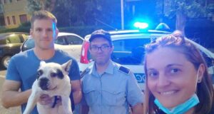 Loano, furto di un cane su un treno, animale recuperato della polizia locale