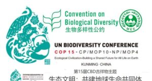 COP15 Dichiarazione di Kunming e WWF