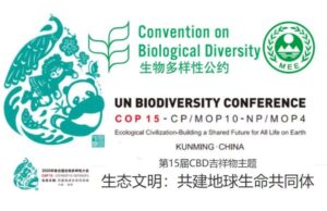 COP15 Dichiarazione di Kunming e WWF