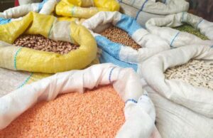 Torna a Genova Tipicamente Chiavari Torna a Genova Tipicamente Chiavari